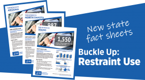 restraint-fact-sheet-thumbnail-non-branded